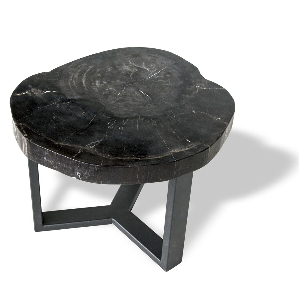 Petrified wood side table black