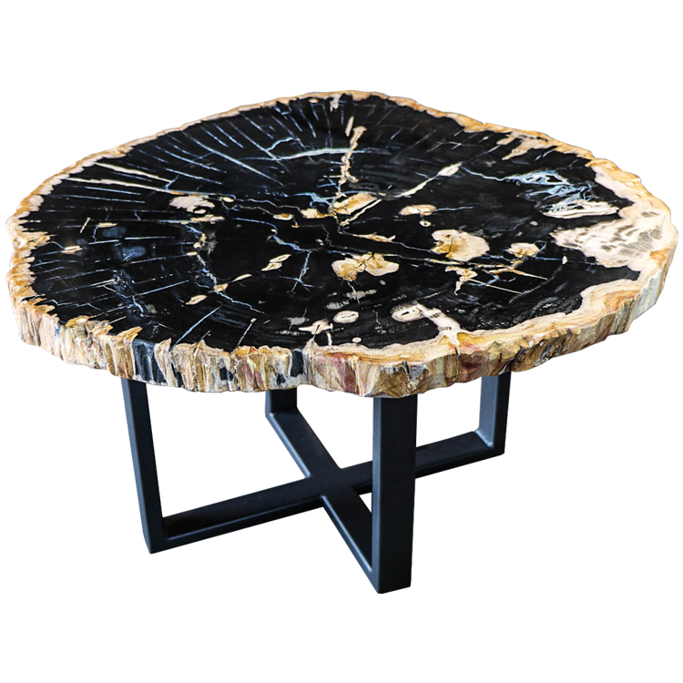Petrified wood side table
