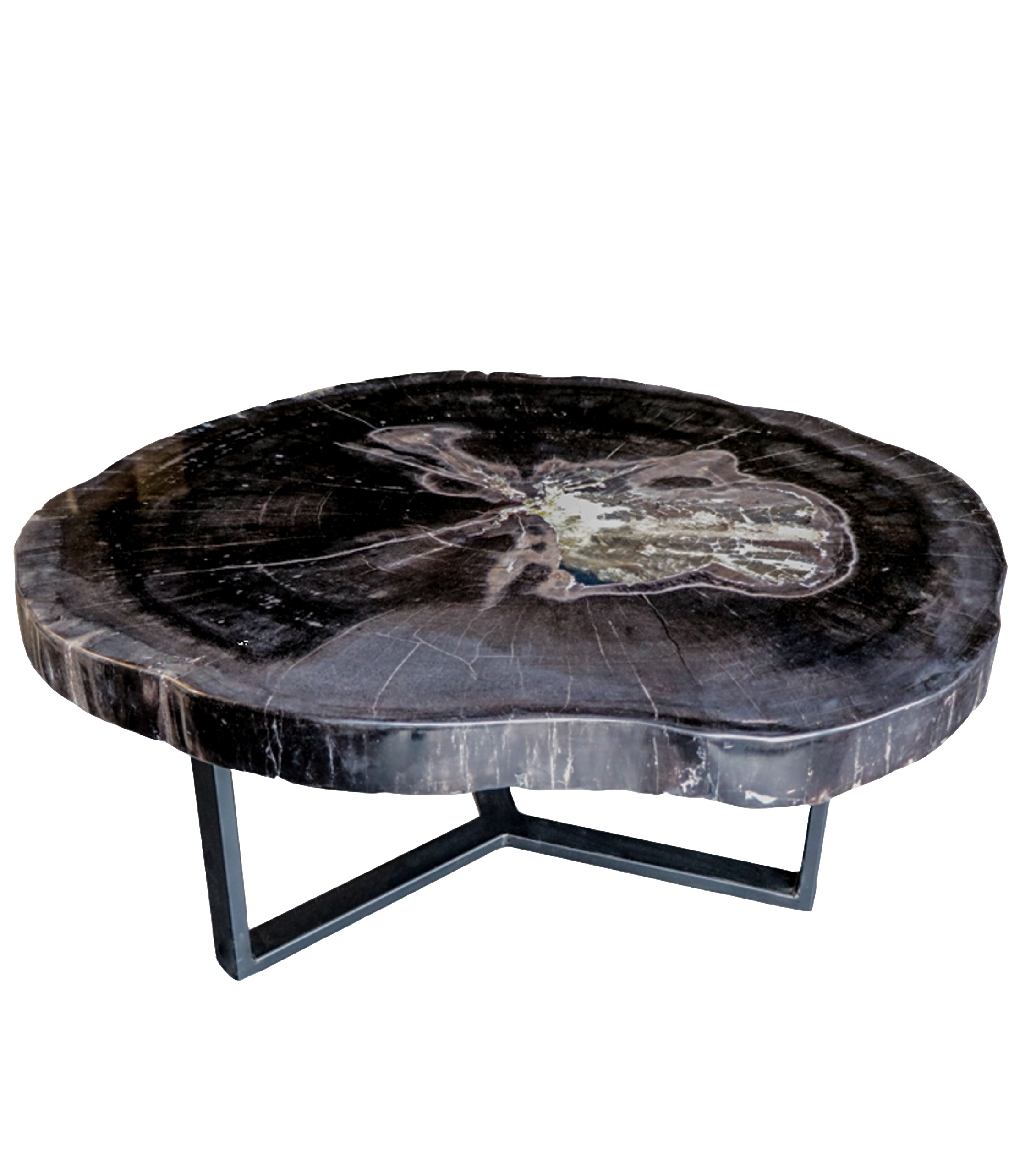Petrified wood coffee table 1
