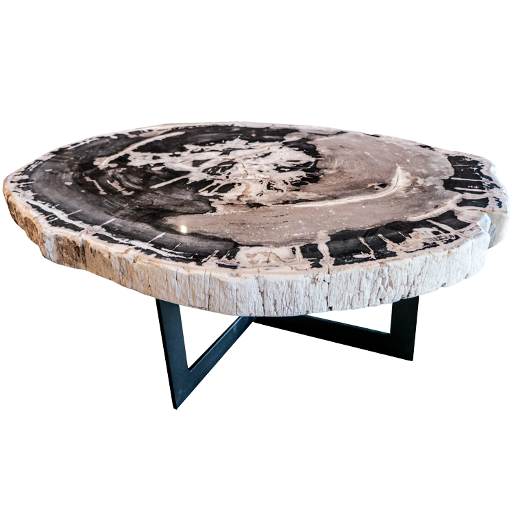 Petrified wood table