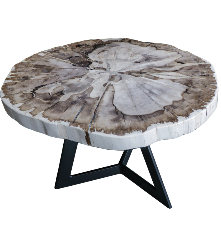 Petrified wood side tables