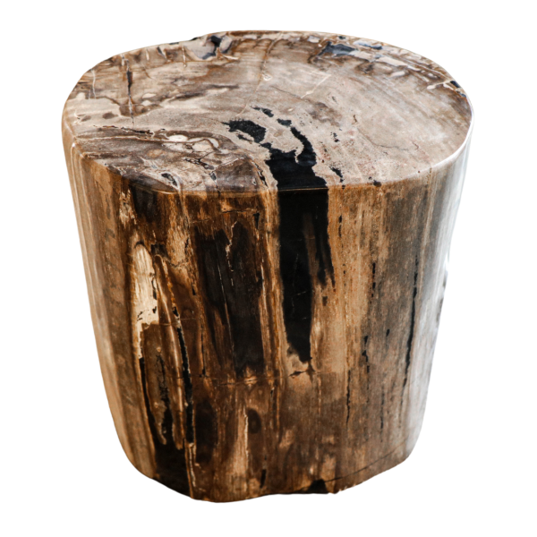 Petrified wood stool