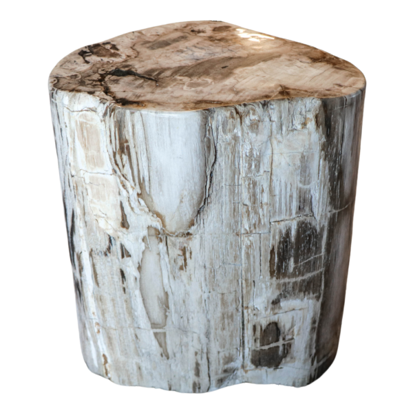 petrified wood stool