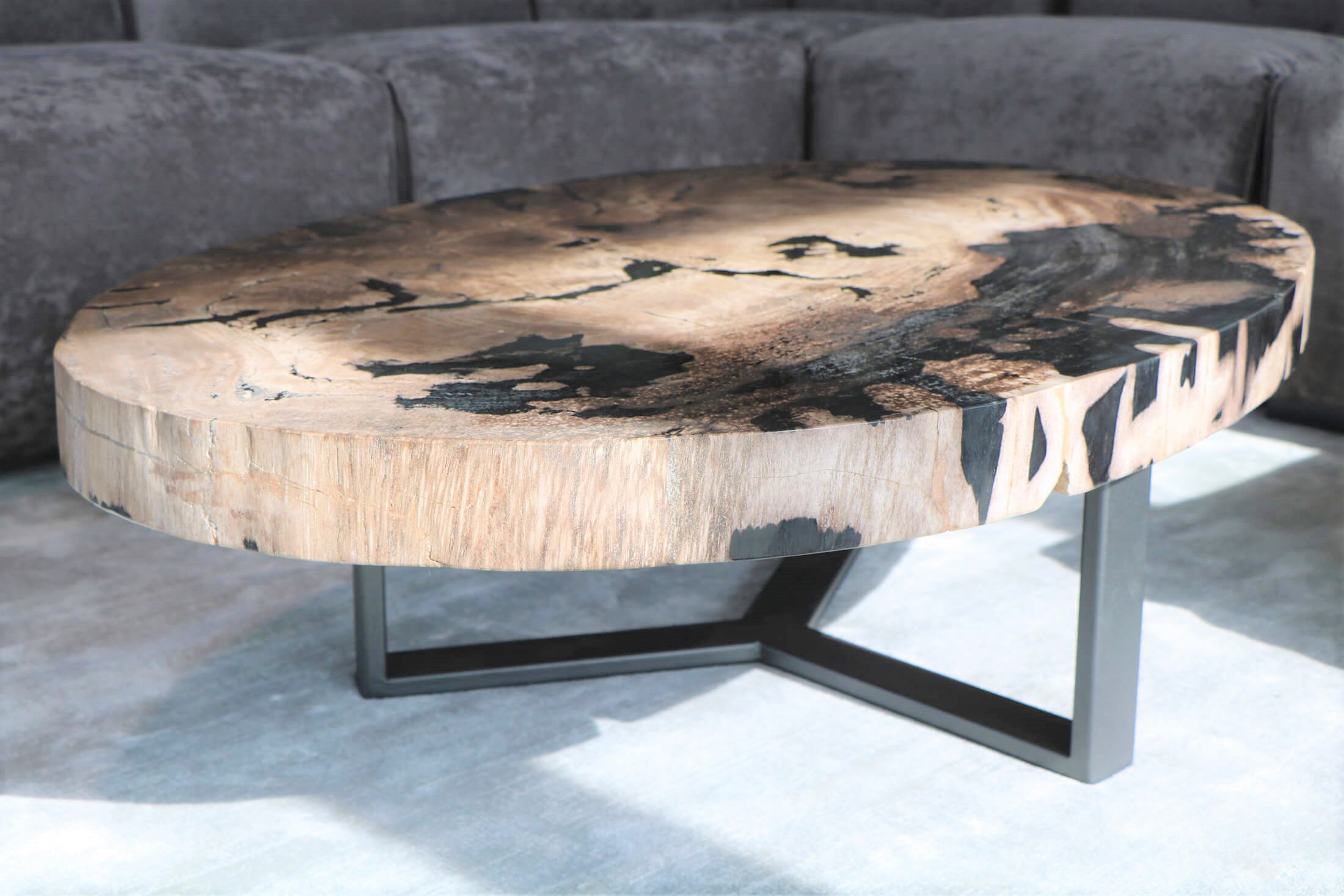 table basse bois pétrifié