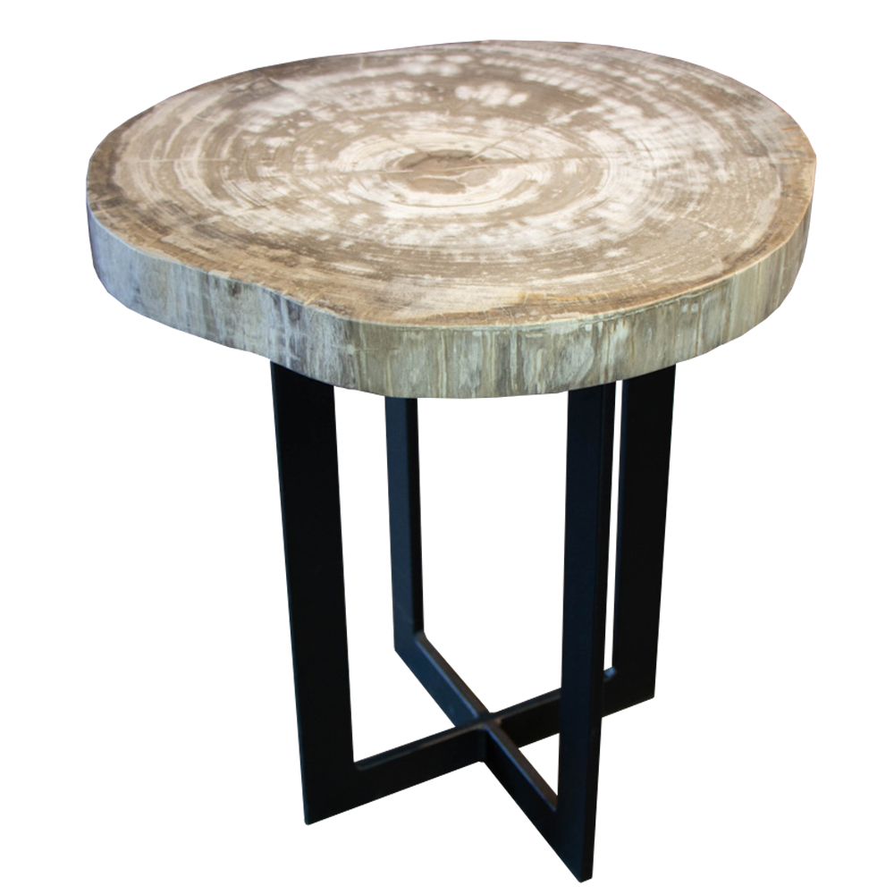 Table d’appoint en bois pétrifié