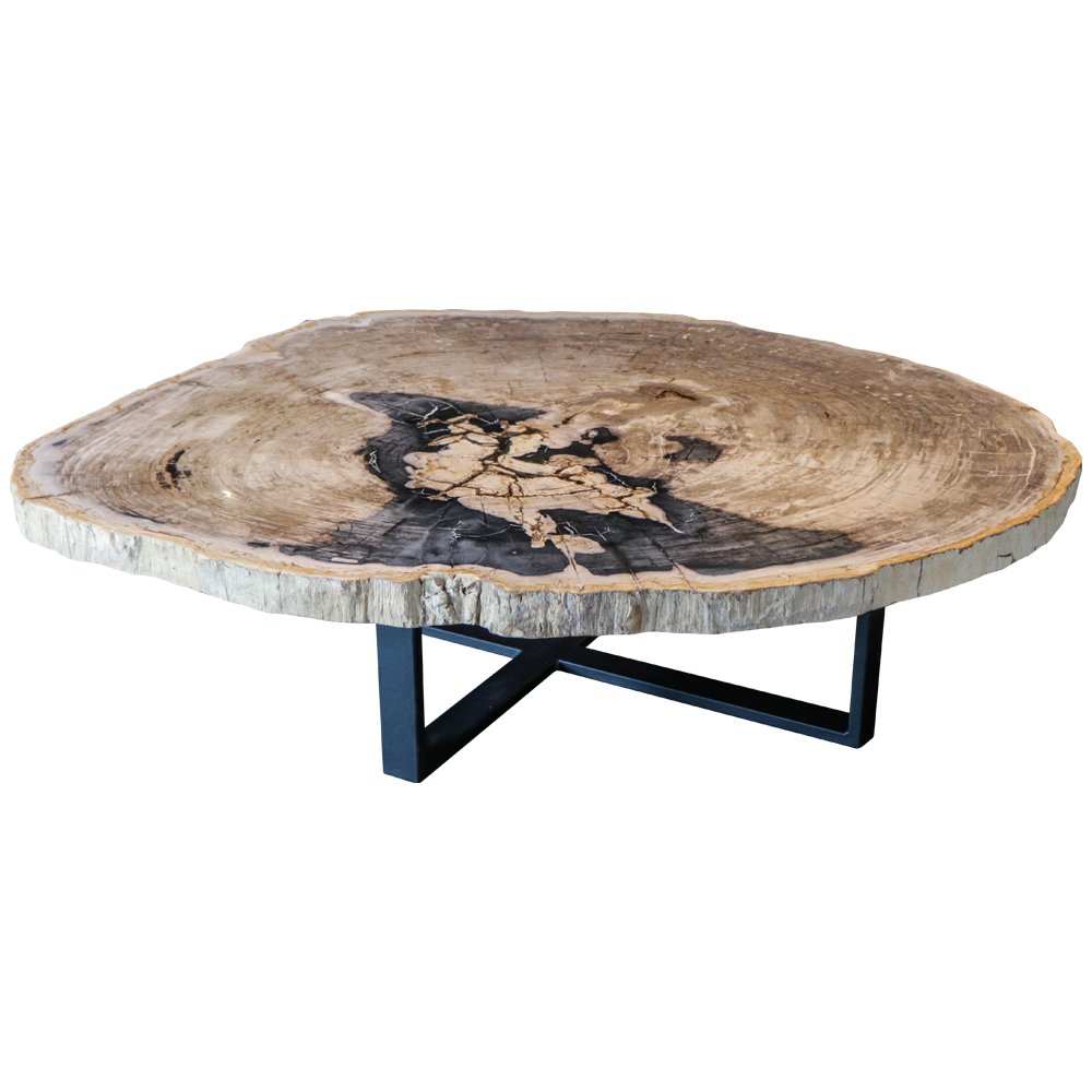 Table basses en bois petrifie
