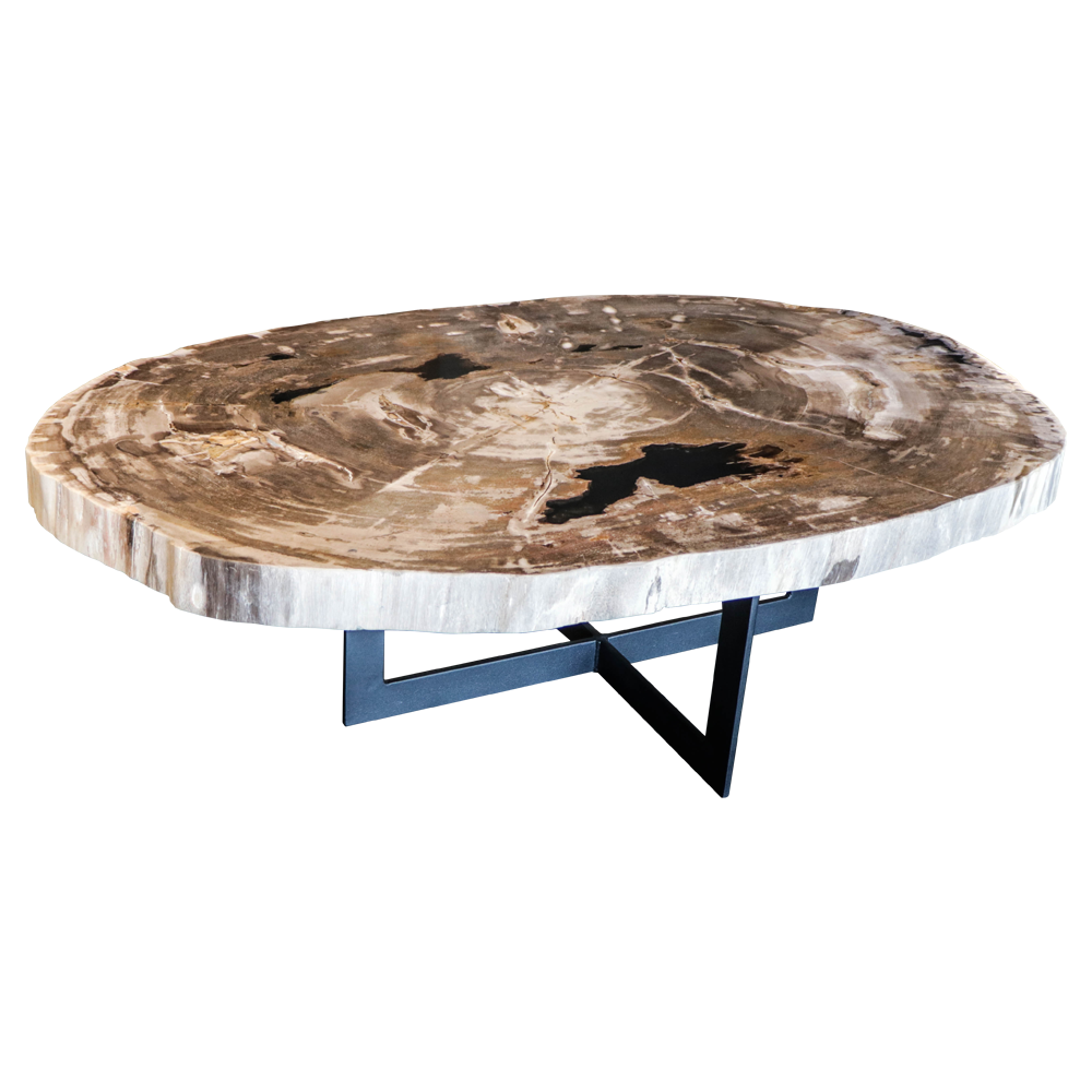 Table basses en bois petrifie